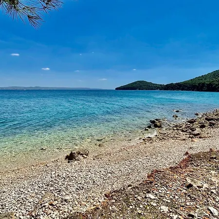 Quadruple 14083a 3* 卡利